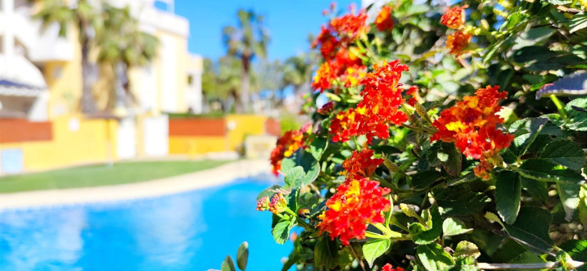 Apartamento Playa Sol By Denia Costa Экстерьер фото
