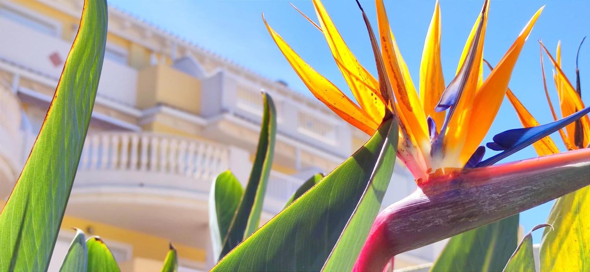 Apartamento Playa Sol By Denia Costa Экстерьер фото
